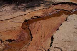 Sand Patterns, Providence Canyon