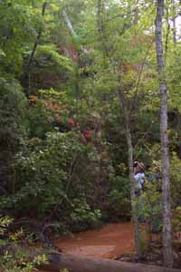 Providence Canyon