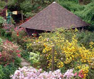 Hobbs Garden, Gazebo