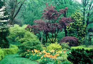 Ladew Topiary Yellow Garden