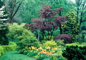 Ladew Topiary Yellow Garden
