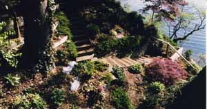 Netherwood Garden