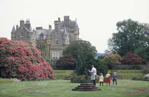 Rhododendrons at Castle Kennedy